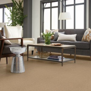 Living room Carpet flooring | Family Flooring
