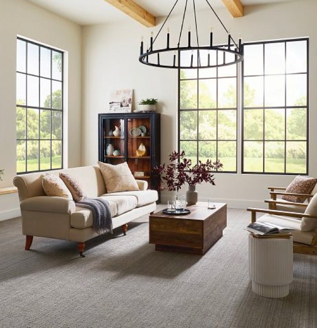 Living room Carpet | Family Flooring