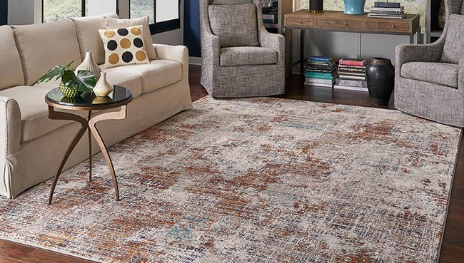 Area Rug for living room | Family Flooring